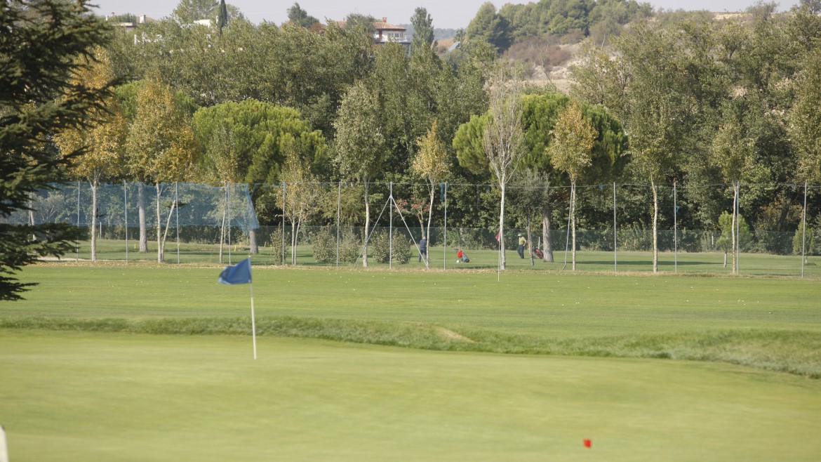 Comité de Competición