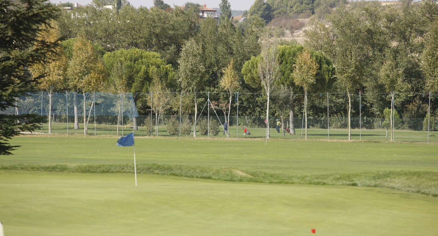 Comité de Competición